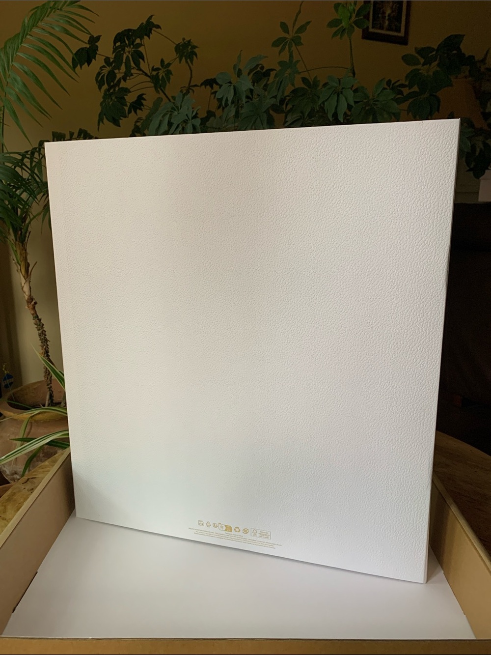 DIOR Gift Box - Large - Picture 4 of 9